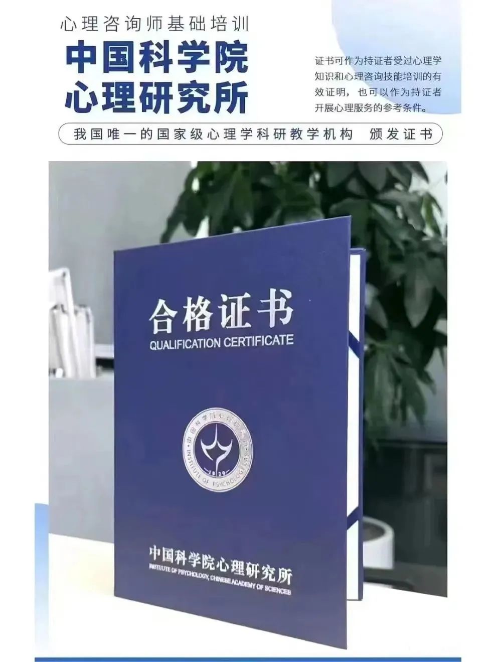 零基础转行心理咨询师应如何掌握相关技能？