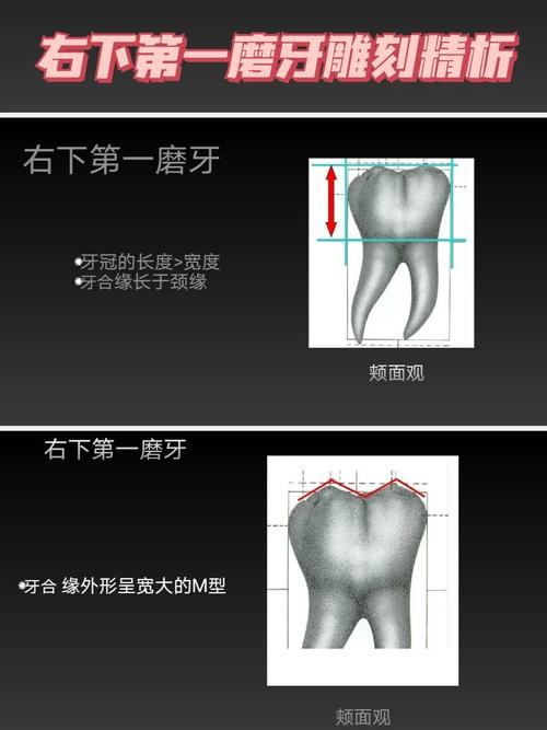 全国口腔执业医师考试成绩单_口腔执业医师成绩已公布_口腔执业医师资格考试成绩